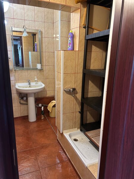 Costin Georgian metrou, Bodesti